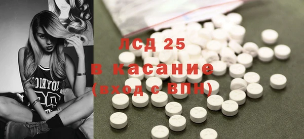 PSILOCYBIN Верея