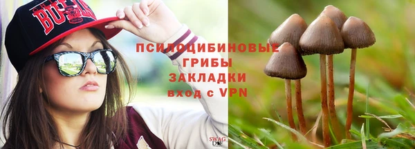 сатива Верхнеуральск