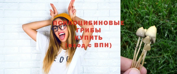 PSILOCYBIN Верея